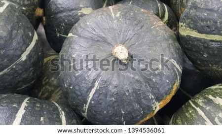 Heap of Green Pumpkin: A close-up view of large, fresh green pumpkins