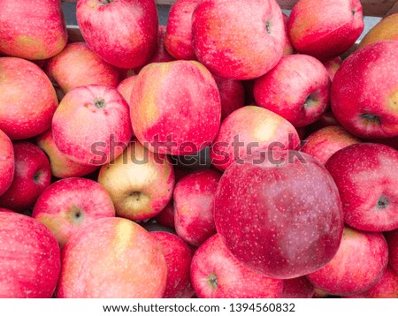 Group of red apples with their leaves