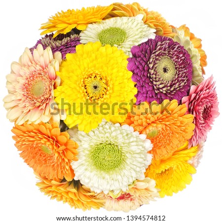 beautiful bouquet of flowers in a white background