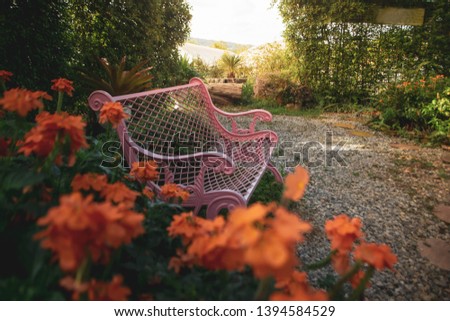 Garden chair In the park
