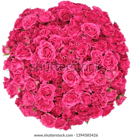 beautiful bouquet of flowers on a white background