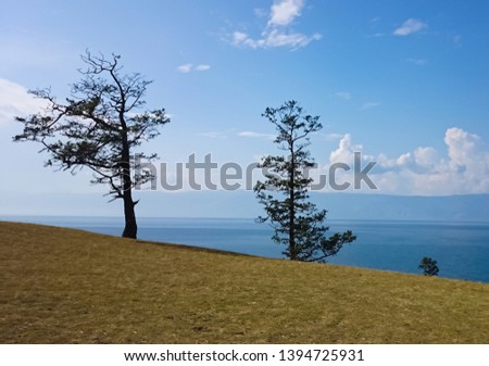 The shore of Lake Baikal. Day. Summer landscape. Russia.