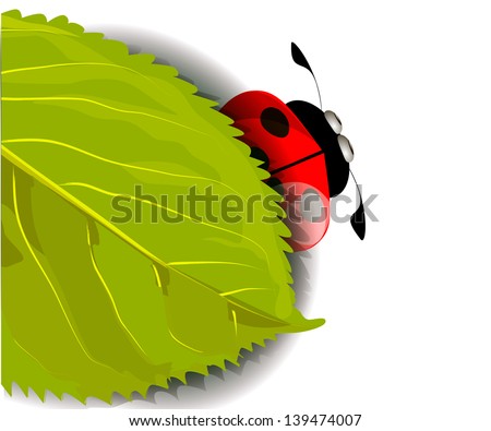 ladybug under a leaf. Raster