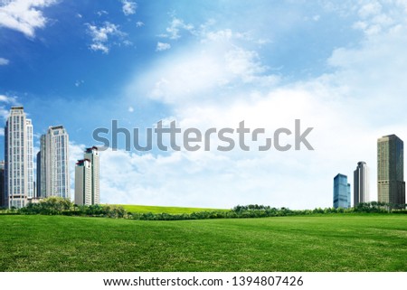 Field of grass, tree and modern city