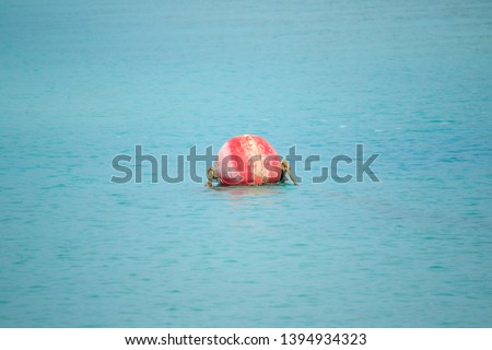 Buoy floating in the sea Used for alignment in the sea