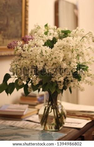 bouquet of white and pink lilacs on the background of the picture, color photography