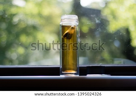 Transparent tea thermos in front of a window