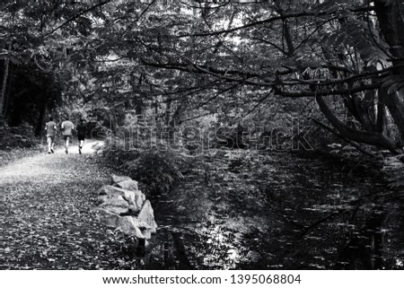 Workout in Nature. Three young men (unrecognizable; back view) jogging, training for marathon in Vincennes forest (Paris, France) in warm autumn day. Selective focus on foreground. Black white photo.