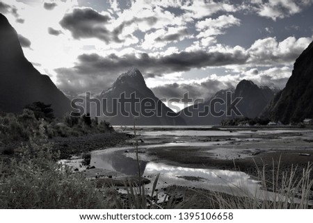 Milford Sound at low tide in black and white