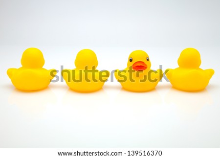 line of yellow ducks of gum