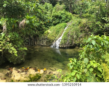 Water falls forest jungle river