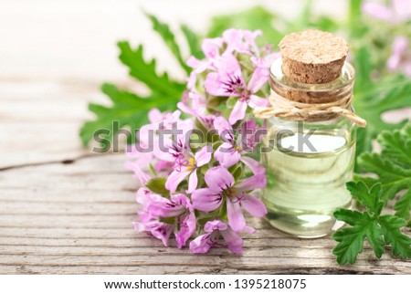Geranium essential oil with fresh geranium flowers, on the old wooden board Royalty-Free Stock Photo #1395218075