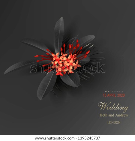 Tropical black leaves and exotic red flower on dark background vector poster Beautiful botanical design with tropic jungle plant golden inscription Wedding ceremony invitation card, christmas greeting