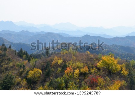 Autumn trees turning gold in the mountains of Beijing Province, northern China, taken from the Great Wall of China.