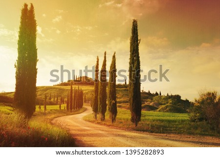 Art Vintage Tuscany countryside landscape
