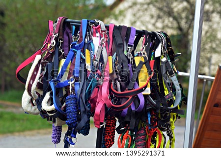 New, colorful ,beauty horse halters