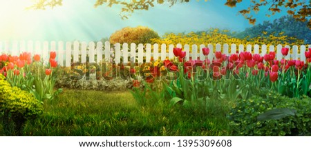 Spring garden. Red tulips in garden Spring grass with flowers