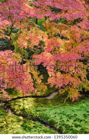 Autumn Japanese garden of Rurikoin temple (Ruriko-in), Kyoto, Japan.