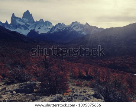 Picture of fitz roy and its valley in autumn / fall season