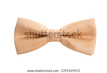 men's tie butterfly isolated on white background