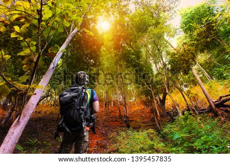 Man hiker looking the jungle path for trekking to mountain peak and climbs steep terrain while sunlight background. Adventure Travel, Freedom Travel, Success, Risk and Challenge of People.