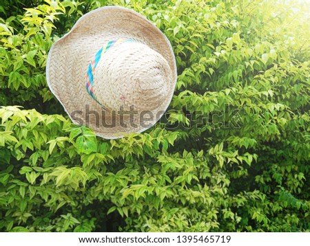 Bamboo Weave Hat And green leaf background