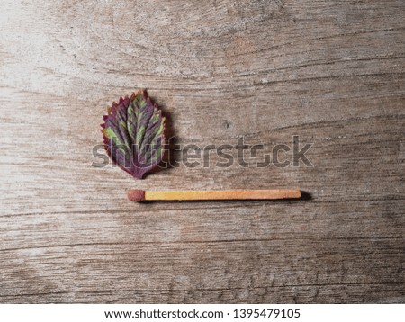 Wood match with a strip green and purple leaf on wooden background. Fire safety concept