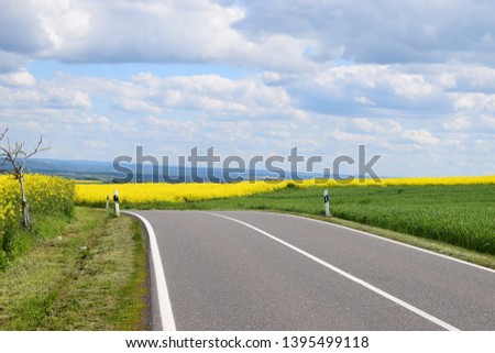 country road through yellow fields