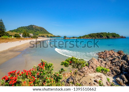 Mount Maunganui and Moturiki Island, with pohutukawa bushes in foreground, New Zealand. Said to be the best beach in New Zealand
 Royalty-Free Stock Photo #1395510662