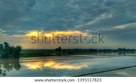 picture of a gloomy morning at the farmland and the Light of the sun 