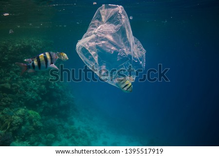 Single use plastic bag floating in the blue water next to the coral reef among fish, ocean pollution Royalty-Free Stock Photo #1395517919