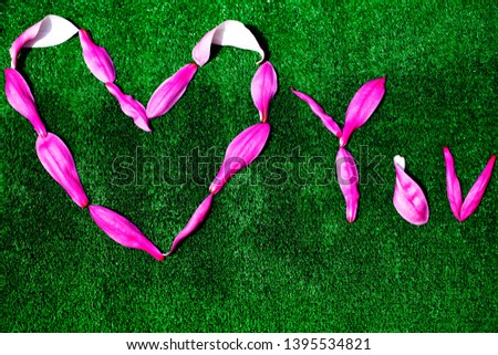 magnolia petal heart symbol background 