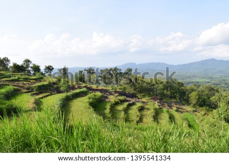 Enjoy the beauty of nature in a mountain, looks cool in the eye to see the green nature of the mountains and the horizon. Panorama of the mountains.