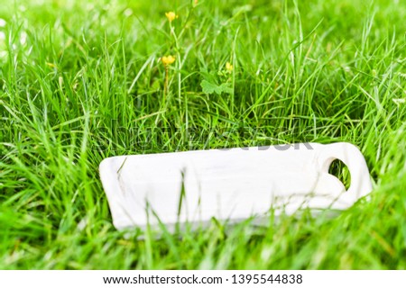 Green meadow, white tray and sunlight. Background with grass. Free space for text