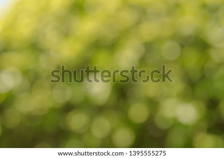 Abstract blurred green nature background. blurry backdrop for design element  template