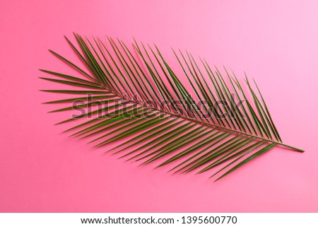 Beautiful palm leaf on color background, top view and space for text. Exotic plant