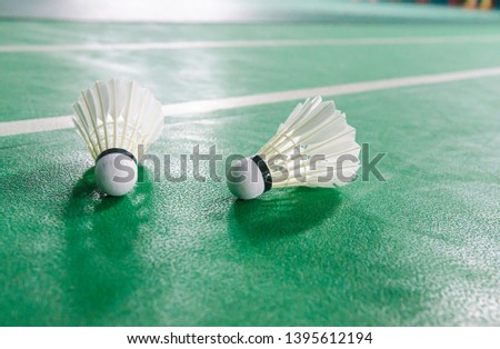 Shuttlecock on badminton racket High resolution images