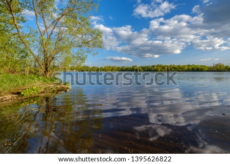 sunny summer day by the lake with blue water and white clouds in the sky. reflections and green tree leaves