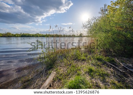 sunny summer day by the lake with blue water and white clouds in the sky. reflections and green tree leaves