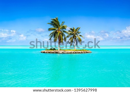 Robinson Crusoe island with palm trees