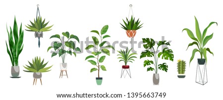 Pot plant set. Plants plastic decorative container and hanging styling indoor basket for potting tree urban garden vector collection Royalty-Free Stock Photo #1395663749