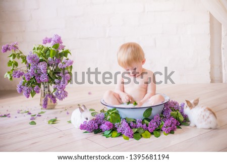 Close up of baby boy in an antique milk bath with lilac flowers and little rabbits
