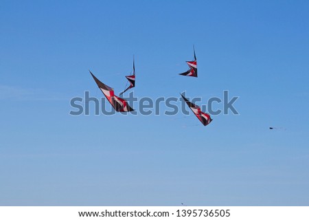 Kite flight performing a choreography on the beach