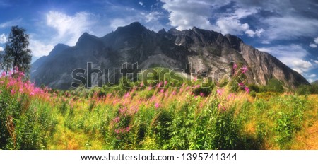 View of Trollveggen, Troll Wall, European highest vertical rock face, Norway. Blooming sally. Royalty-Free Stock Photo #1395741344