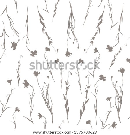 Floral background. Vector seamless pattern with hand drawn cornflowers and leaves.