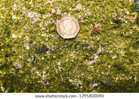 iron coin money object in Arabian style on stone in moss green textured background wallpaper pattern picture with empty copy space for text 