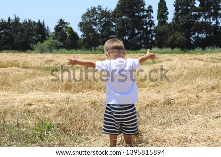 boy on a wheat field