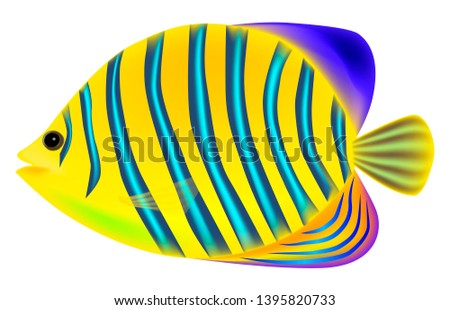 Angel butterfly fish, three-dimensional, realistic, vector illustration