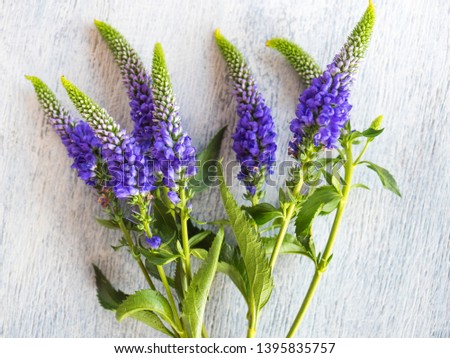 Close-up bouquet of lilac wildflowers on wooden background