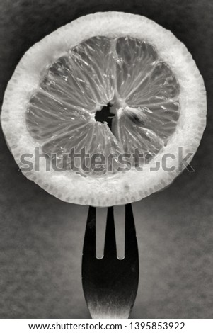 Slice of lemon pricked on fork. Monochrome photography.